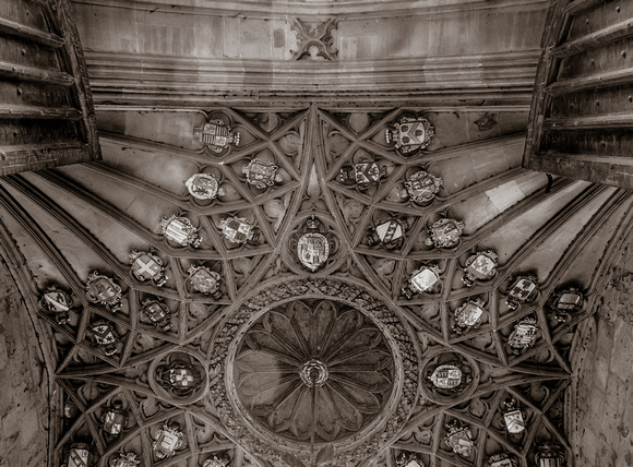 Oxford - Ceiling Shields