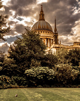 London - St Paul's behind the Trees