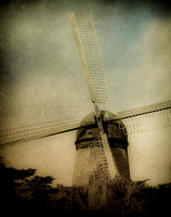 San Francisco - The Dutch Windmill