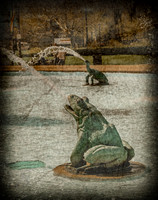Philadelphia - Fountain Frog