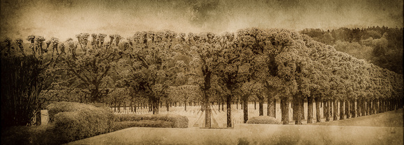 Meuse-Argonne American Cemetery