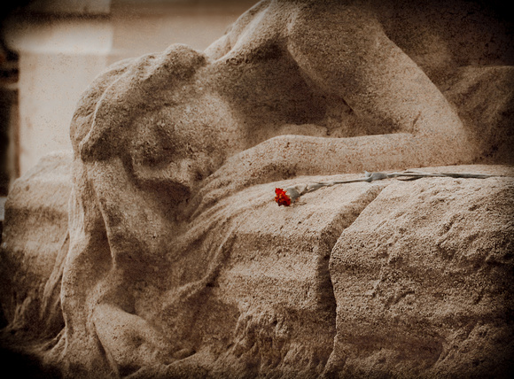 Carnation at Rest