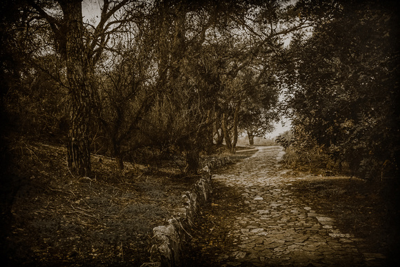 Athens - Path to Philopappos