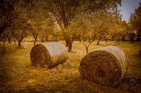 Hay Bales